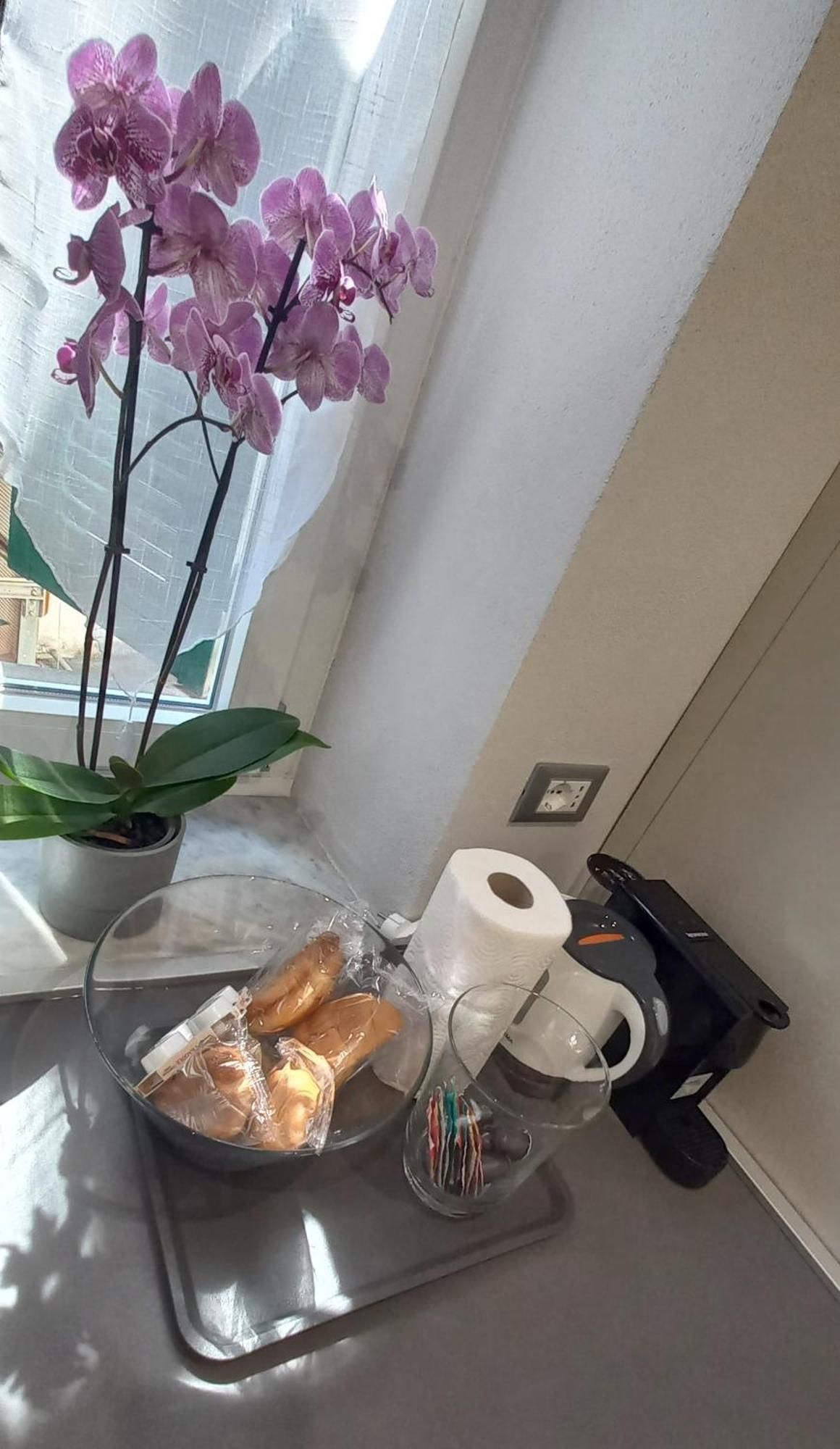 Baxeico Old Town Parking Free Apartment Genova Exterior foto